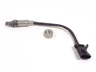 Oxygen Sensor and the weld-in bung.