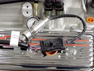 Oxygen Sensor and the weld-in bung.